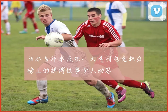 泪水与汗水交织，大洋洲电竞积分榜上的拼搏故事令人动容