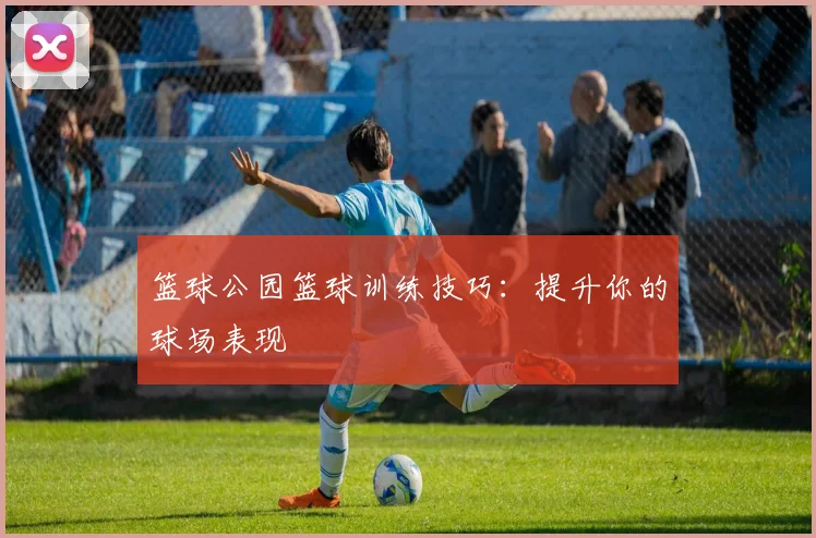 篮球公园篮球训练技巧:提升你的球场表现