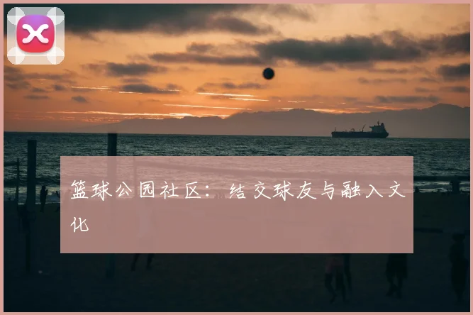 篮球公园社区:结交球友与融入文化